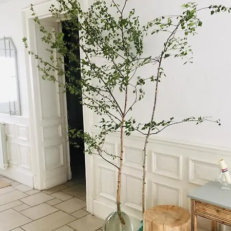Casita El Lobo בית הארחה *